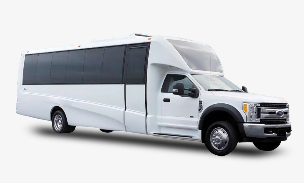 18 Passenger Party Bus
